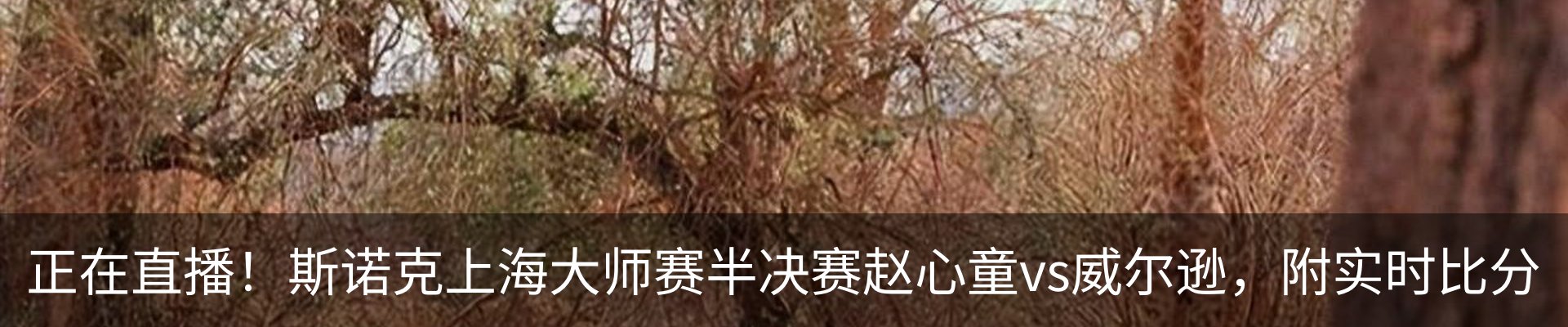 内页banner