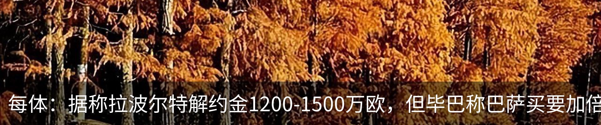 内页banner